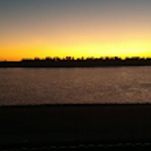 Meet your Posher, Jelly fish gameing